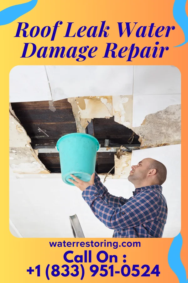 Roof Leak Water Damage Repair in Gold River, CA